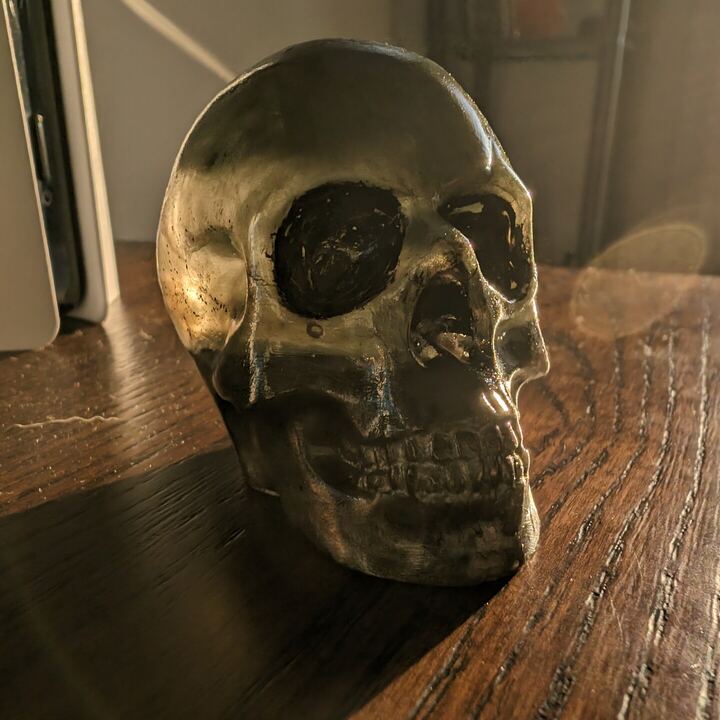 Human skull with a dark metallic finish on a wood table
